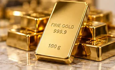 Goldbank Step Books