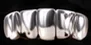 Grillz Mat Silver